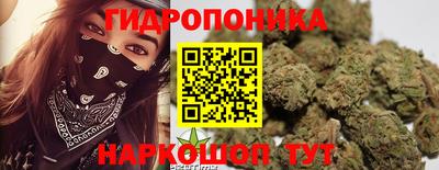 дурь Будённовск