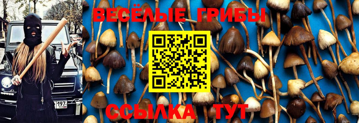 где купить   Галлюциногенные грибы Psilocybine cubensis  Вход с VPN  Лосино-Петровский  Галлюциногенные грибы MAGIC MUSHROOMS 